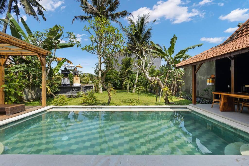 אובוד New 4 Bedroom Villa Surrounded By Jungle And Ricefields מראה חיצוני תמונה