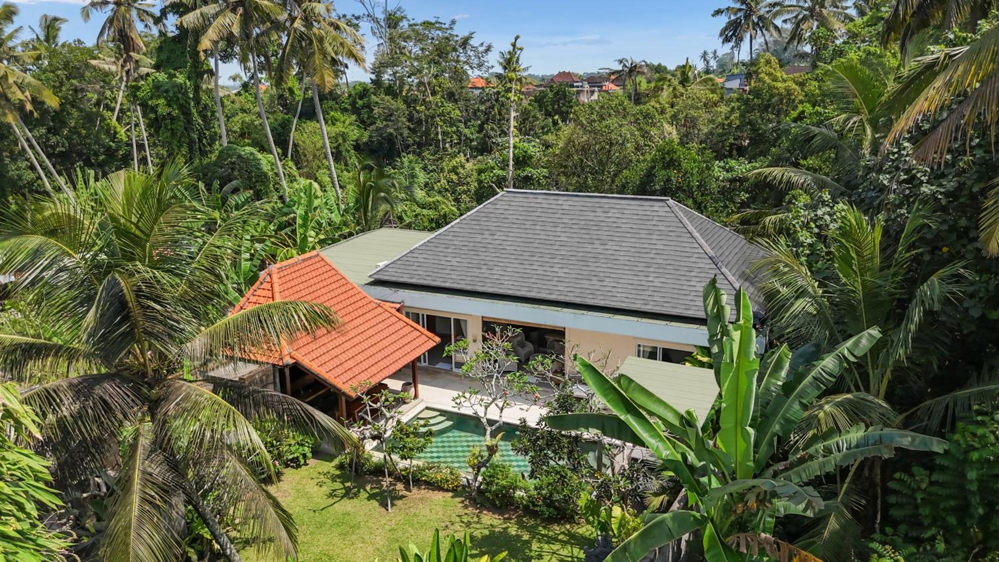 אובוד New 4 Bedroom Villa Surrounded By Jungle And Ricefields מראה חיצוני תמונה